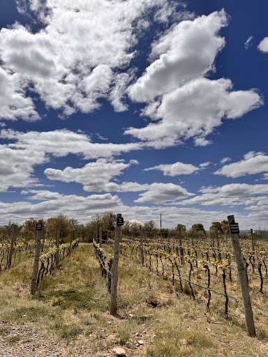 Photo from customer review