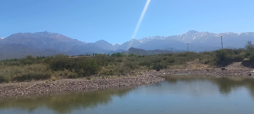 Photo from customer review