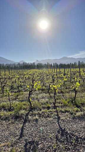 Photo from customer review