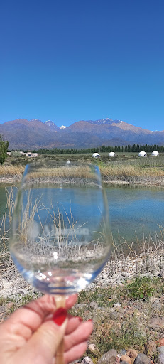 Photo from customer review